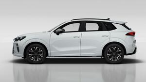 Cupra Terramar 1.5 eTSI 110kW (150 CV) DSG