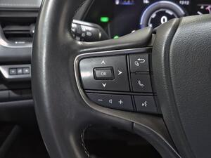Lexus UX 2.0 250h Premium 19