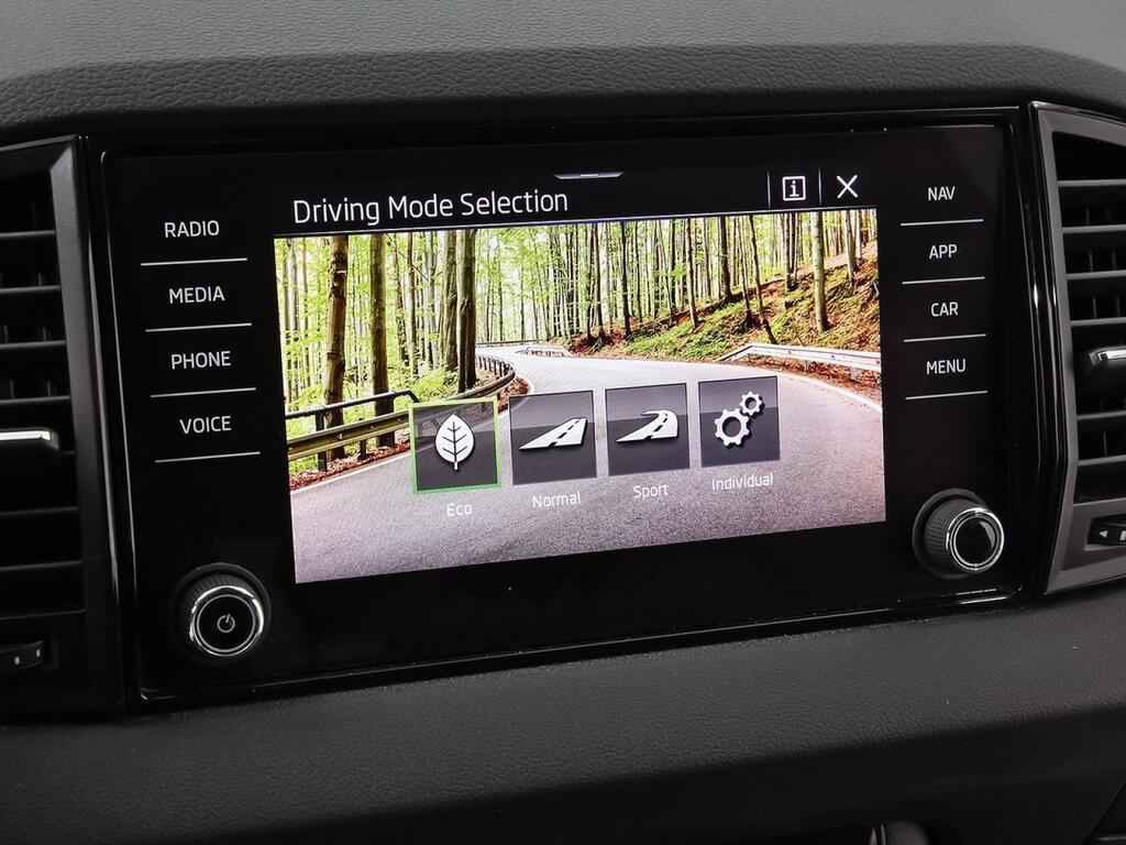 Skoda Karoq 1.5 TSI 110kW (150CV) DSG ACT Sportline 30