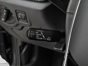 Skoda Fabia 1.0 TSI 85KW (115CV) DSG Monte Carlo 14