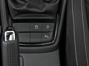 Skoda Kamiq 1.0 TSI 85kW (115CV) DSG MONTE CARLO 30