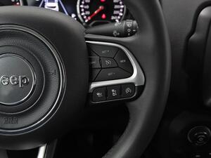 Jeep Renegade Limited 1.6 Mjet Diésel 96 kW (130 CV) 19