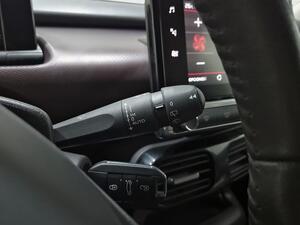 Citroën C4 Cactus PureTech 81KW (110CV) S&S Shine 13