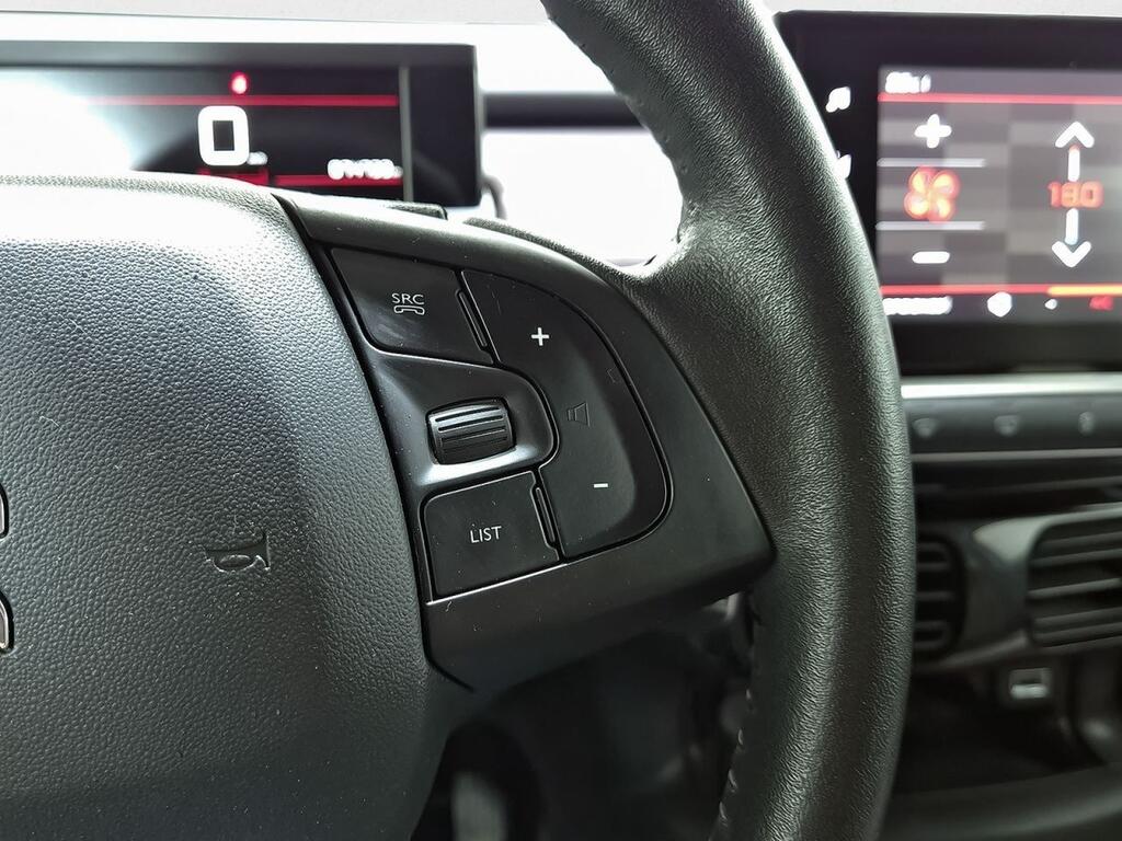 Citroën C4 Cactus PureTech 81KW (110CV) S&S Shine 15