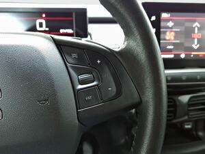Citroën C4 Cactus PureTech 81KW (110CV) S&S Shine 15