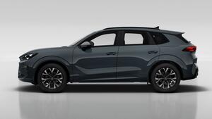 Cupra Terramar 1.5 eTSI 110kW (150 CV) DSG Beyond 3