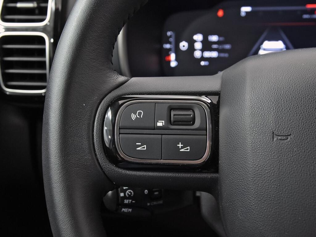 Citroën C5 Aircross PureTech 96kW (130CV) S&S Plus 17