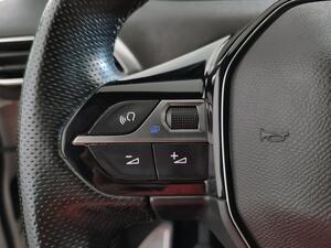 Peugeot 3008 1.5 BlueHDi 96kW (130CV) S&S GT 13