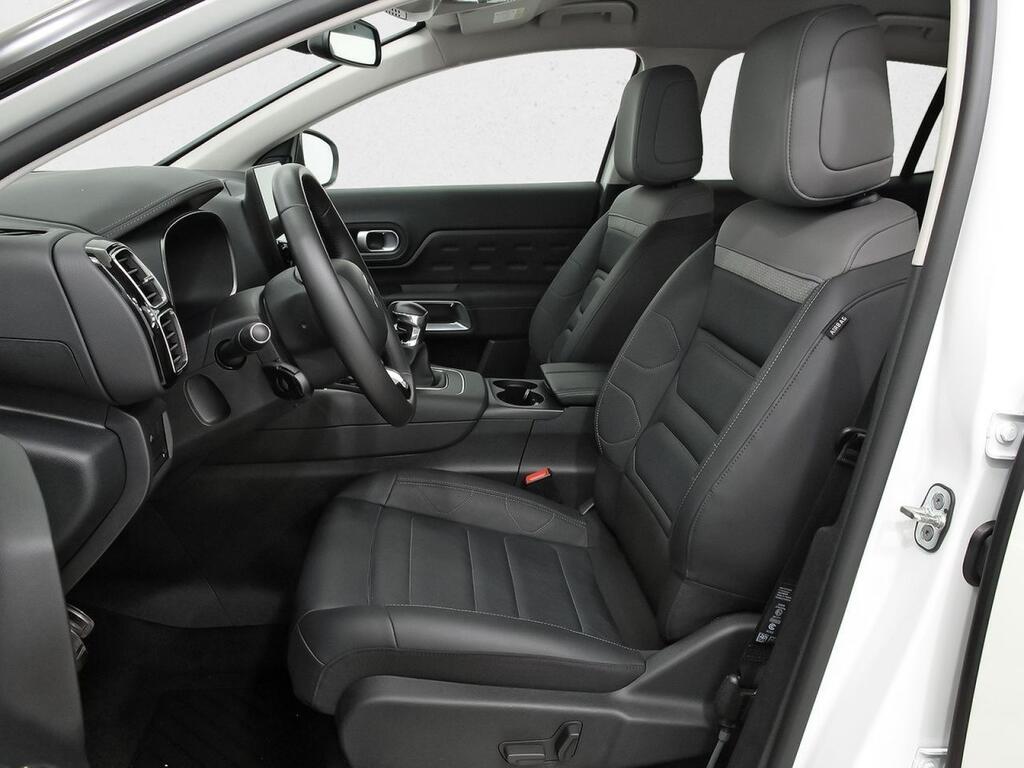 Citroën C5 Aircross BlueHdi 96kW (130CV) S&S Shine Pack Segunda mano