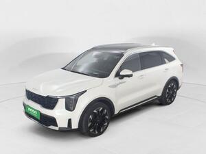 Kia Sorento SORENTO 2.2 CRDI EMOTION PACK PREMIUM AUTO 2WD 5P 7 Plazas 4