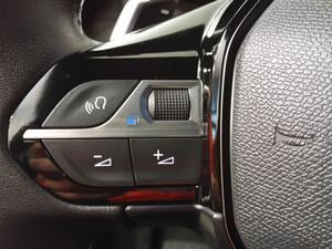 Peugeot 2008 2008 ALLURE PACK 1.5 BLUEHDI 130 CV AUTO S&S 5P 8