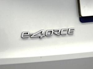 Nissan X-Trail X-TRAIL 1.5 EREV E-4ORCE 213 TEKNA 5P 39