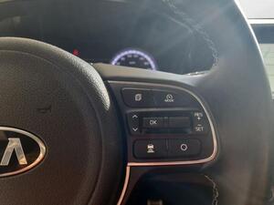 Kia Niro NIRO 1.6 GDI HEV EMOTION 5P 16