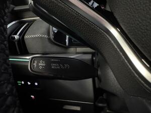 Skoda Kodiaq KODIAQ 1.5 TSI M-HEV 150 DSG SPORTLINE 5P 7 PLAZAS 21