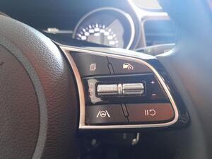 Kia Ceed XCEED 1.0 T-GDI 100 DRIVE 5P 15