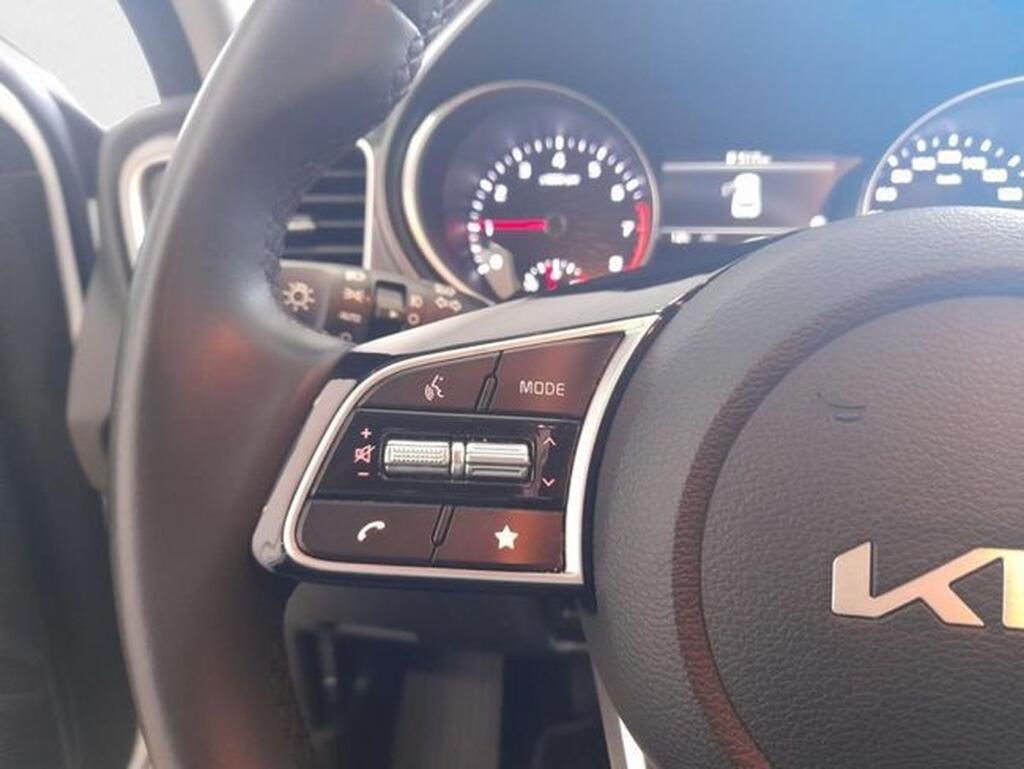 Kia Ceed XCEED 1.0 T-GDI 100 DRIVE 5P 14