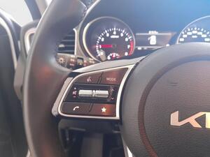 Kia Ceed XCEED 1.0 T-GDI 100 DRIVE 5P 14
