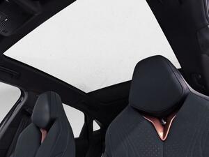 Cupra Tavascan TAVASCAN BEV 82KWH 286CV ENDURANCE AUTO 5P (ADRENALINE PACK) 39