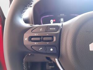 Kia Picanto PICANTO 1.0 DPI BUSINESS 5P 13