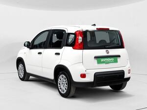 Fiat Panda PANDA 1.0 MHEV 5P 2