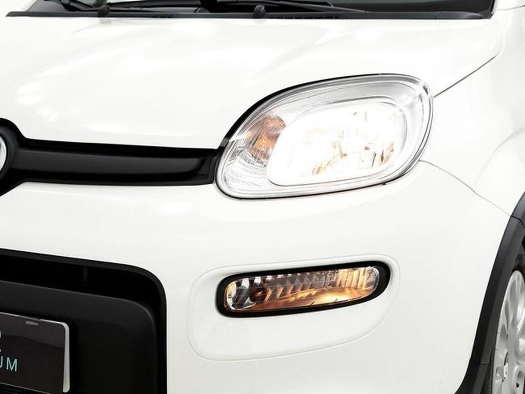 Fiat Panda PANDA 1.0 MHEV 5P Km0