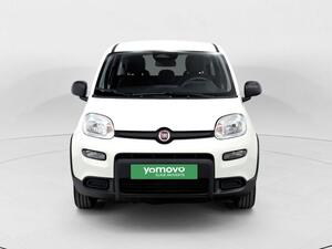 Fiat Panda PANDA 1.0 MHEV 5P 5