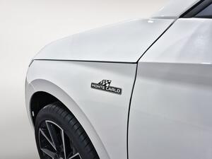 Skoda Kamiq KAMIQ 1.5 TSI 150 MONTE CARLO 5P 38