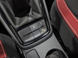 Skoda Kamiq KAMIQ 1.5 TSI 150 MONTE CARLO 5P 28