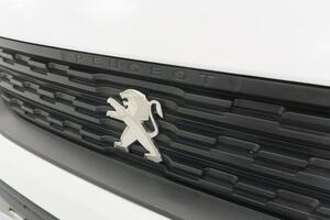 Peugeot Partner PARTNER FG 1.5 BLUEHDI 100 STANDARD 4P 600KG 19