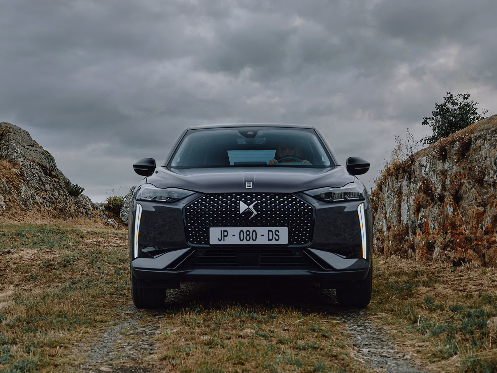 DS DS 3