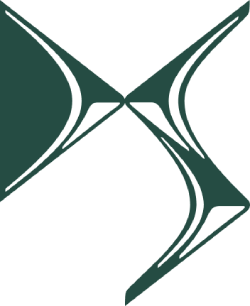 Logo DS
