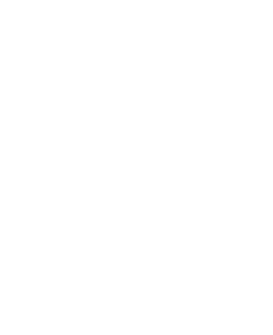 logo DS blanco